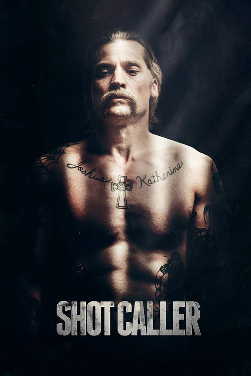 Poster film Executantul