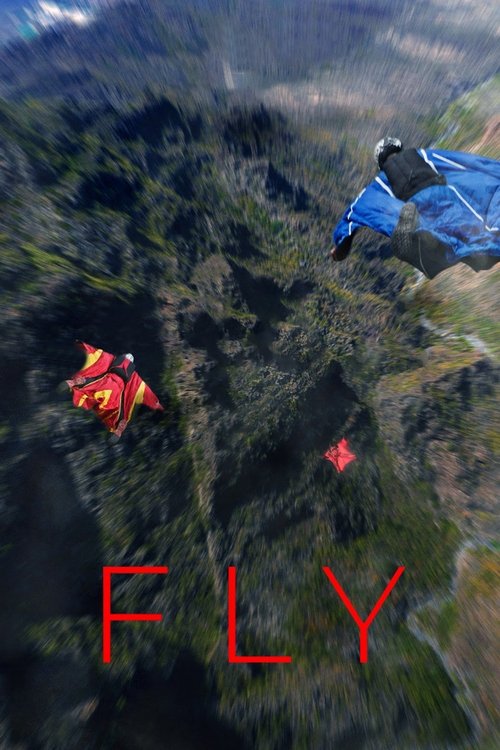 Poster film FLY – Ein Leben für den Sprung