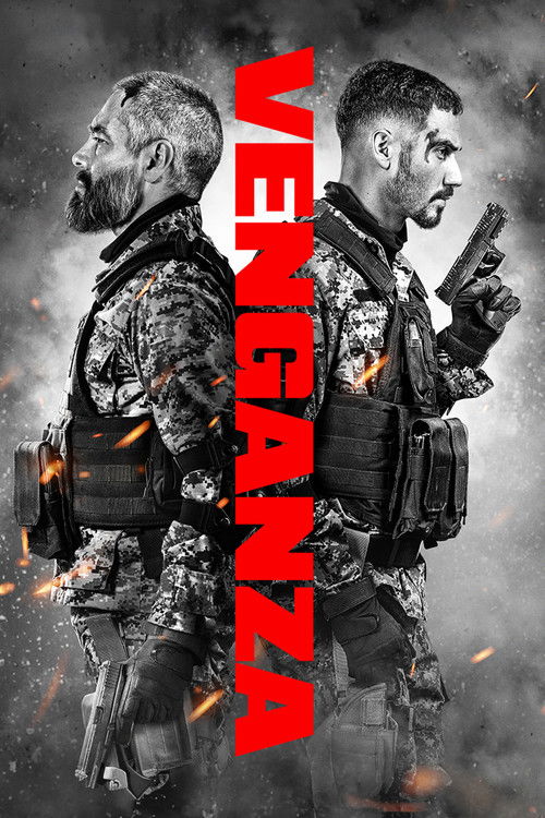 Poster film Răzbunare
