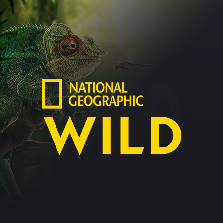 Nat Geo Wild